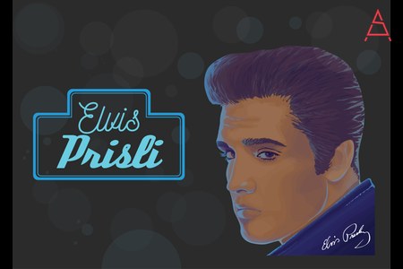 Elvis Book Cover